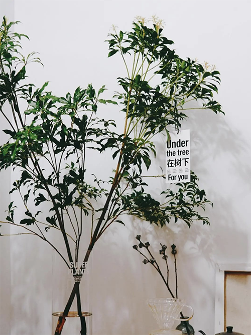 2023032916800549100955106073.png 4.png