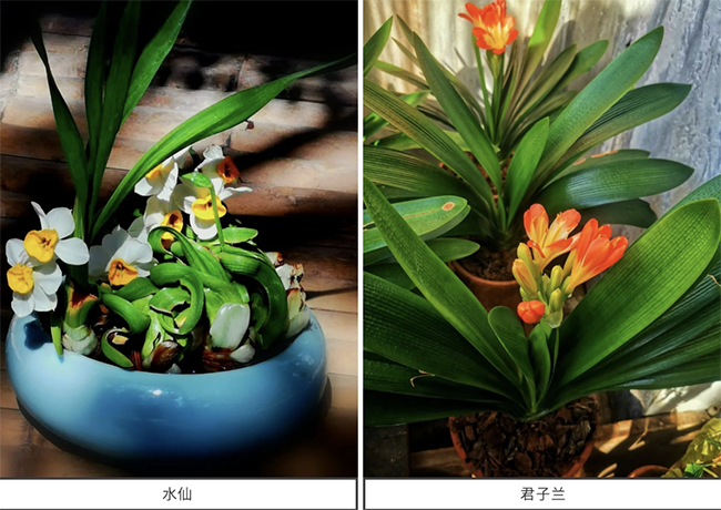 2023032916800549530955531251.png 5.png